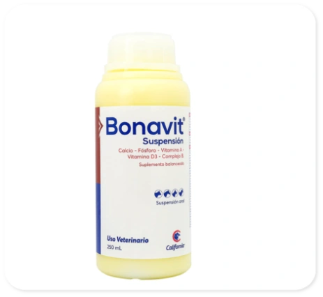 Bonavit Suspensión 250 mL