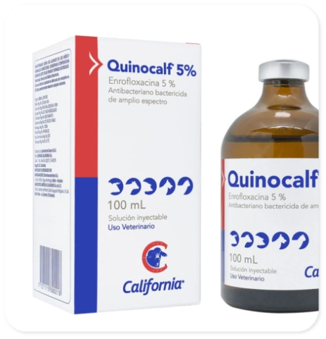 Quinocaif 5% -antibioticos-Panama