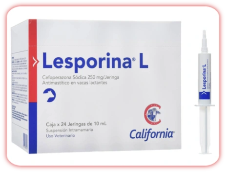Lesporina L -antibioticos-Panama