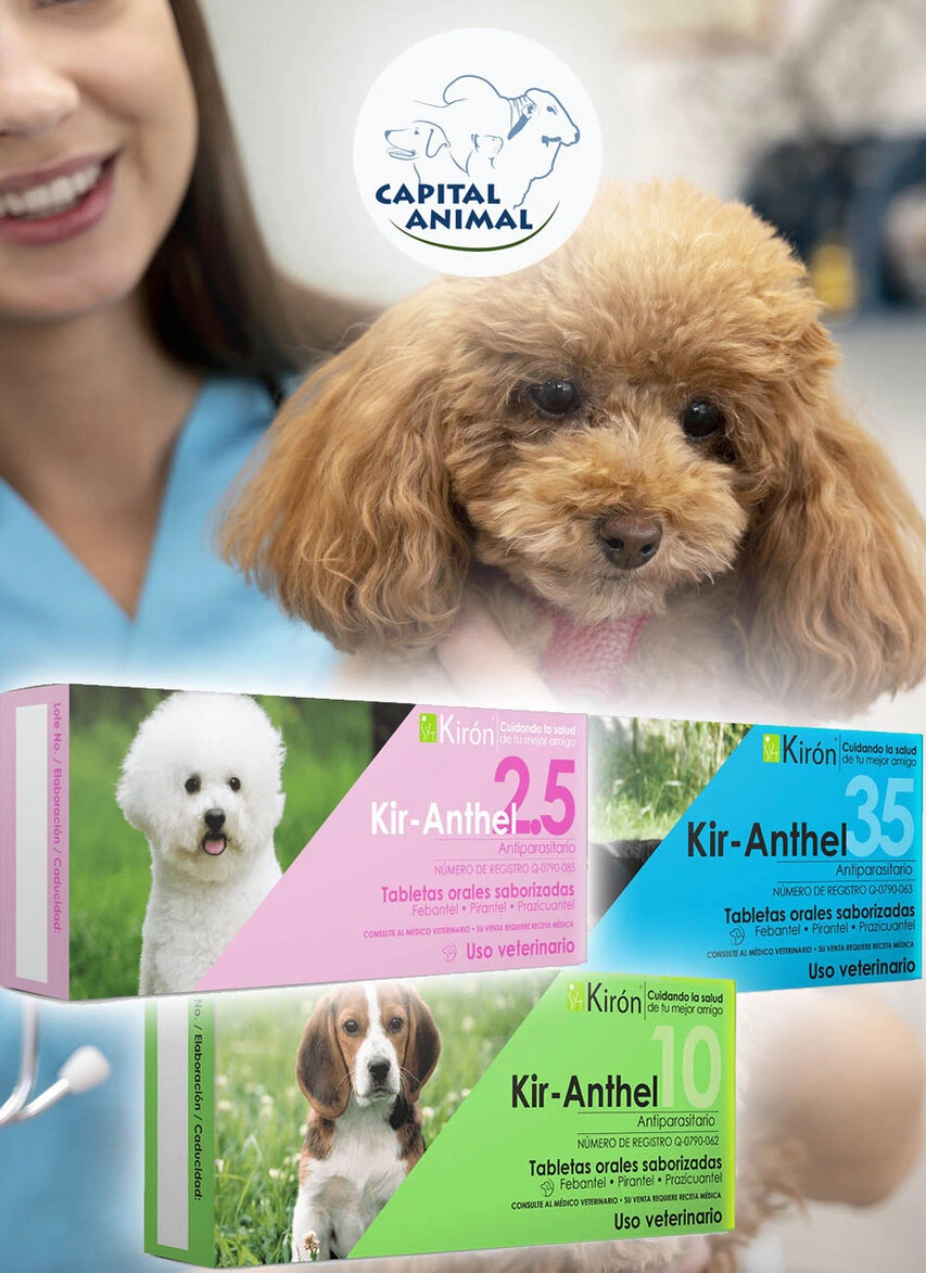 Medicamentos pets